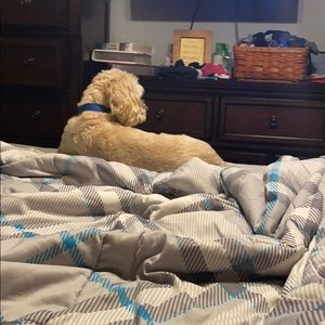 Meet your Posher, Vicki